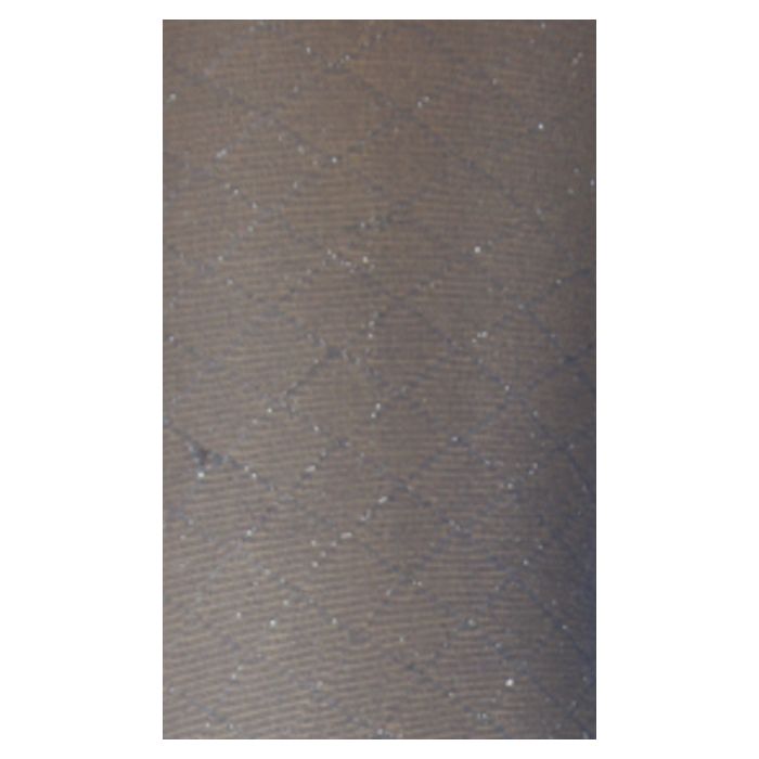 Silver Footless Tights