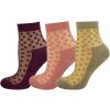 Mesh Dots 3 Pairs  Multi Colour Ankle Socks 